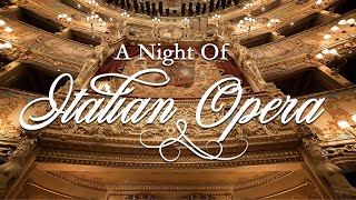 A Night of Italian Opera [upl. by Loftis]