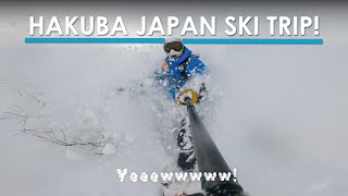 Hakuba Japan Ski Trip  Resort Backcountry amp Trip Tips [upl. by Rotceh1]