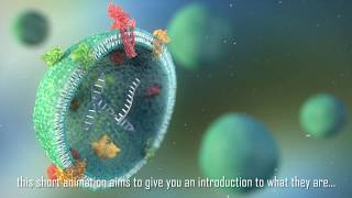 Extracelluar vesicles an introduction [upl. by Anneliese]