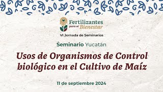 S3 Yucatán Usos de Organismos de Control biológico en el Cultivo de Maíz [upl. by Mcdowell]