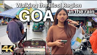 Walking GOA Camarines Sur Bicol Philippines during Tropical Storm Paeng  Light Rain Walk 4K [upl. by Wallie927]