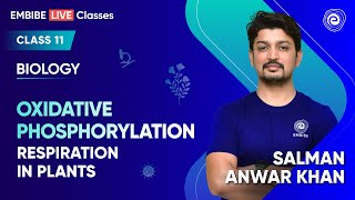 Oxidative Phosphorylation  Respiration in Plants  Biology Class 11 Science  Salman Anwar Khan [upl. by Asek]