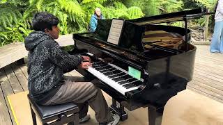 Heroes Beethoven by Dr Treviranus at Piano 5 [upl. by Crawley]