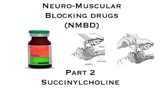 NeuroMuscular Blocking Drugs NMBD  Part 2  Succinylcholine [upl. by Ellenahc]