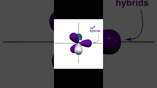 CARBONATION ANIMATION [upl. by Jade]