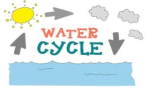 Water Cycle  The 3 phases Explained  Water Cycle Animation for Kids [upl. by Eeldivad]