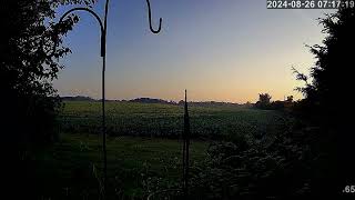 2 weather cams Weather Forecast for Georgetown on 20240826 [upl. by Garek]