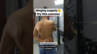 winging scapula Exercise short [upl. by Lavinie]