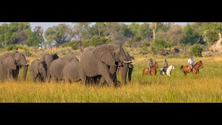 Safari at Macatoo  Botswana [upl. by Graf130]