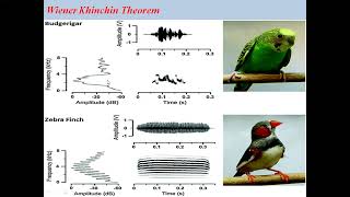 Wiener Khinchin Theorem [upl. by Fonsie870]