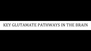 STAHLS  CH 4  PART 18  KEY GLUTAMATE PATHWAYS IN THE BRAIN psychiatrypharmacology [upl. by Ennovahc333]