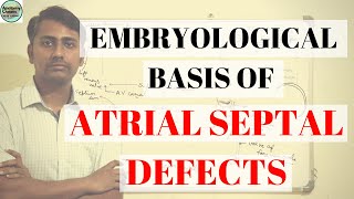 EMBRYOLOGICAL BASIS OF ATRIAL SEPTAL DEFECT II ASD II DEVELOPMENT OF INTERATRIAL SEPTUM [upl. by Latt264]