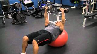 Stability Ball Incline Dumbbell Chest Press [upl. by Annwahsal820]