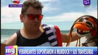 Murdock hizo de las suyas en Viña del Mar [upl. by Ias429]