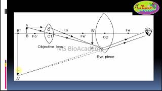 Principle of Microscope [upl. by Llerroj]