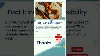 snake viral facts fact 1 snakes shorts viral snake biology science memes [upl. by Retnuh537]