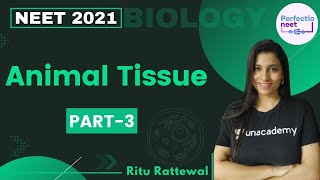 Animal Tissue  Part 3  NEET 2021  NEET Biology  Ritu Rattewal [upl. by Kellene79]