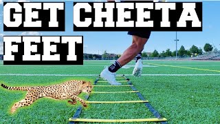 6 ELITE Agility LADDER DRILLS  How To Get Faster Feet [upl. by Anilam]