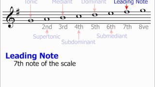 Technical Names of Scale Notes Music Theory [upl. by Atinehs]