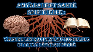 Amygdale et santé spirituelle [upl. by Ibob956]