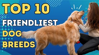 Top 10 Friendliest Dog Breeds [upl. by Inglis]