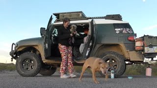 S3E13 TWO Dogs in Small SUV Camping [upl. by Harimas16]