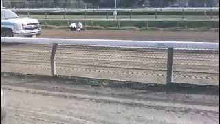 Shocking Video Jockey Falls Off Horse Travers Day [upl. by Ydde]