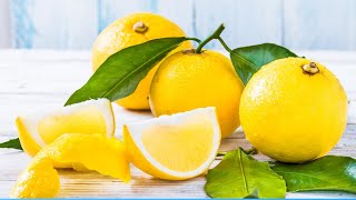 Can Bergamot Lower Cholesterol Levels The Facts [upl. by Guthry580]