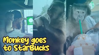 Gaitlyn Rae Gets A MonkChino From Starbucks Drive Thru [upl. by Dee479]