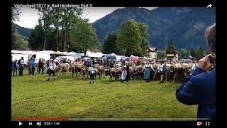 Viehscheid 2017 in Bad Hindelang Part 3 [upl. by Suoilenroc]