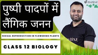 Sexual Reproduction in Flowering Plants  Pushpi Paadap Mein Laingik Janan  Class 12  L  1 [upl. by Anitsugua]