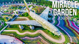 Inside The Miracle Garden In Dubai [upl. by Rotman685]