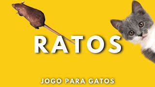 Jogos para gatos  RATOS🐀 [upl. by Akinahs]