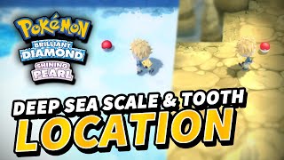 How to get DEEP SEA TOOTH amp DEEP SEA SCALE  Pokemon Brilliant Diamond Shining Pearl [upl. by Eetak658]