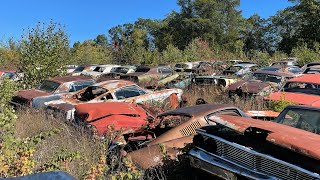 Biggest Classic Mustang Junkyard Exploration Ever Baxter Classic Cars [upl. by Buskirk]