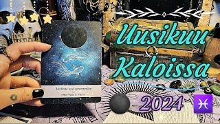 🌑♓ Uusikuu Kaloissa 2024 Kun Mennyt Jää Taakse Toiveesi Toteutuu ♓🌑 [upl. by Sillsby]