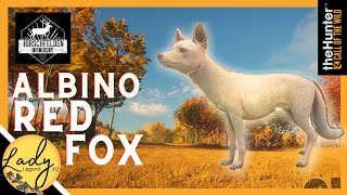 FINALLY ALBINO Red Fox in an Epic Hunt in Hirschfelden Hunter Call of the Wild [upl. by Heise508]