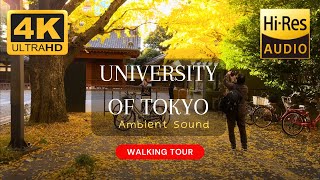 4K HiRes Audio  University of Tokyo walking tour [upl. by Phare86]