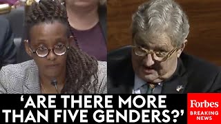 How Many Genders Are There John Kennedy Questions Human Rights Campaign Chief About Gender [upl. by Nannerb]