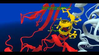 Structural Annotation of a Kinase CDK2 [upl. by Asinet271]