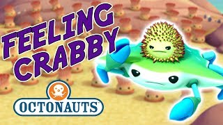 Octonauts  Feeling Crabby  Cartoons for Kids  Underwater Sea Education [upl. by Aynot]