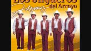 los jilgueros del arroyo mix [upl. by Nellad]