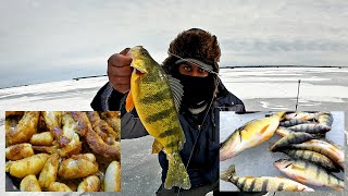 Ice Fishing for Lake Simcoe Jumbo Perch March 2022 [upl. by Kere]