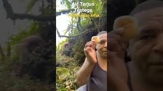 Air Terjun Testega Pegunungan Arfak [upl. by Griggs]