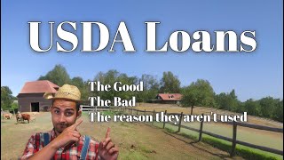 Why No One is Using USDA Loans Explained [upl. by Bethanne]