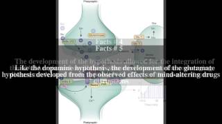 Glutamate hypothesis of schizophrenia Top  7 Facts [upl. by Atirhs]