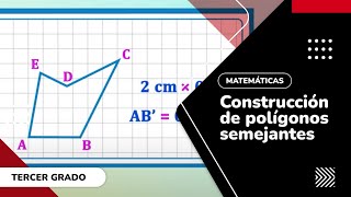 6 Construcción de polígonos semejantes [upl. by Thayne]