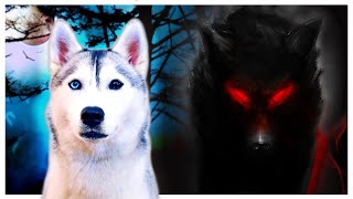 Spooky Ghost Story Freaks Out My Husky I can’t believe her reaction [upl. by Immac859]