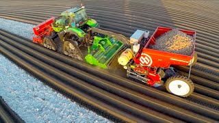 Potato Planting  DeutzFahr Agrotron 7250 TTV on RowCrop Tracks  Dewulf Miedema belt planter [upl. by Lleret]