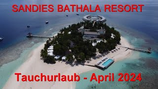 Tauchurlaub im SANDIES BATHALA RESORT auf den Malediven  April 2024 [upl. by Neral]